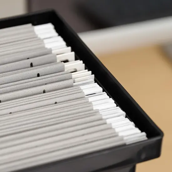 IRIS USA Hanging Plastic Desktop File Box Folders, Letter Size, Magazine File {6}