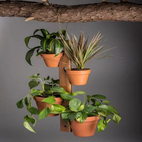 4 Pot Hanging Plant Holder {3}