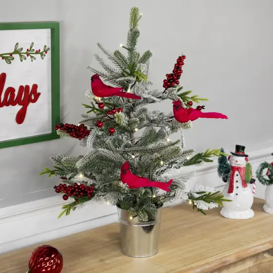 Northlight Pre-Lit LED Frosted Mixed Pine with Cardinals Potted Christmas Tree - 2' - Warm White Lights Green {4}