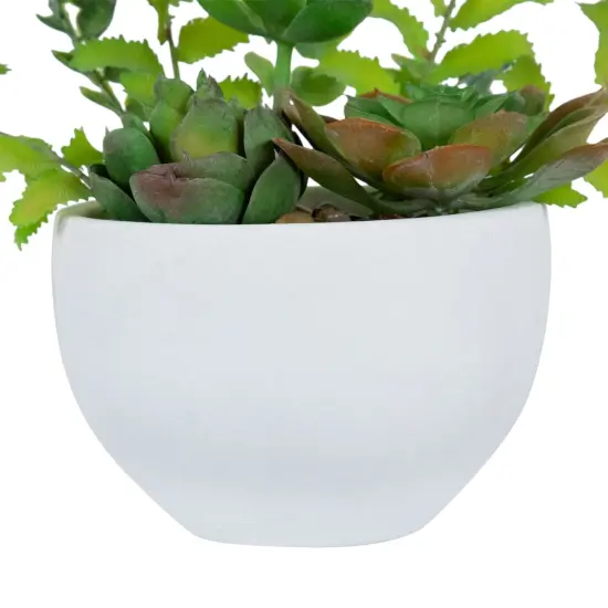 Northlight Potted Artificial Mixed Succulent Fern Plant - 11.5" Green {6}
