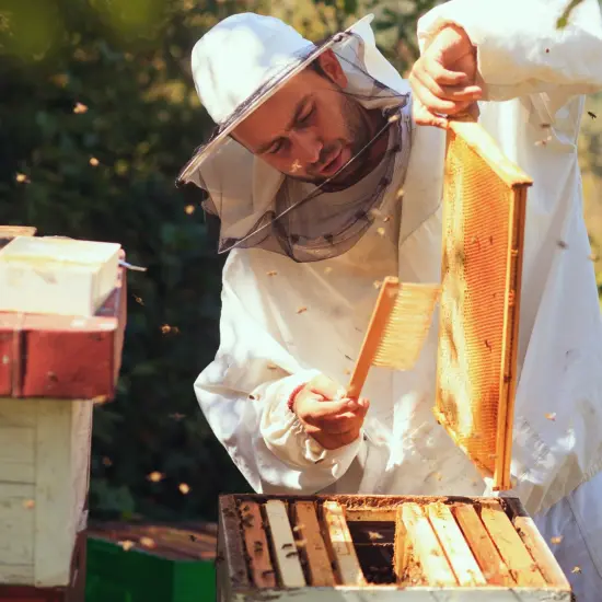 Stoney Acres Beekeeping Beehive Frame, Waxed Plastic Foundation, Deep Assembled, Honey Bee Hive, Amish Made {7}
