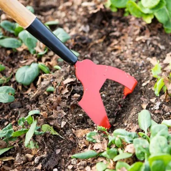 Lehman's Precision Garden Hoe, Amish Made Dutch, Push-Pull and Traditional Hoe, Steel with 60 in Wood Handle {5}