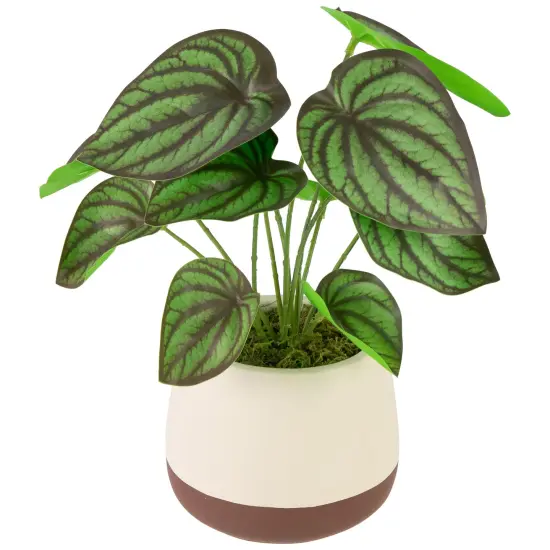 Northlight Artificial Peperomia Plant in Two-Tone Ceramic Pot - 10.25" Green {4}