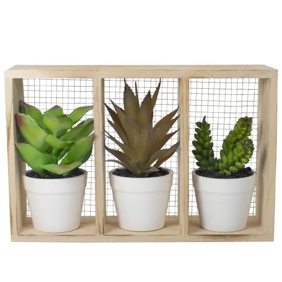 Northlight 10.75" Artificial Mixed Potted Succulents in Wooden Box Brown {1}