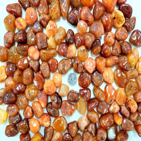 Tumbled Carnelian Crystals - Size Medium 1" to 1.5" {3}