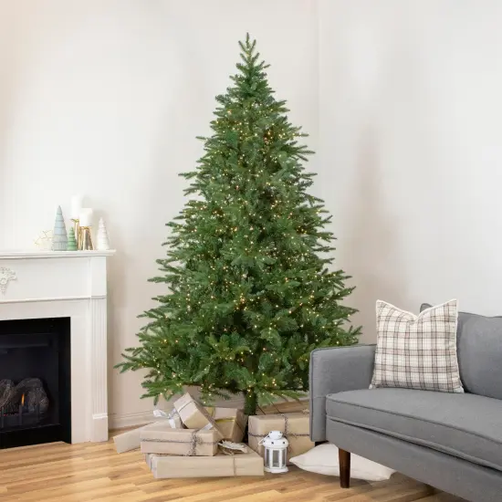 Northlight Real Touch&trade; Pre-Lit Artificial Birch River Fir Christmas Tree - 7.5' -Candlelight Clear Lights Green {1}