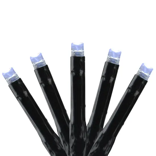 Kaemingk LED Connect 24V Starter Kit - Transformer and 2 Sets of Lights - Cool White Clear {1}