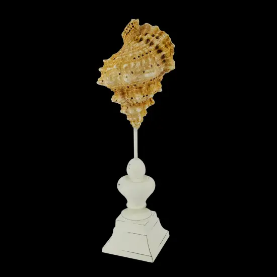 Gallerie II 14" Beach Inspired Brown and Cream Seaside Seashell on Pedestal Finial Decoration {1}