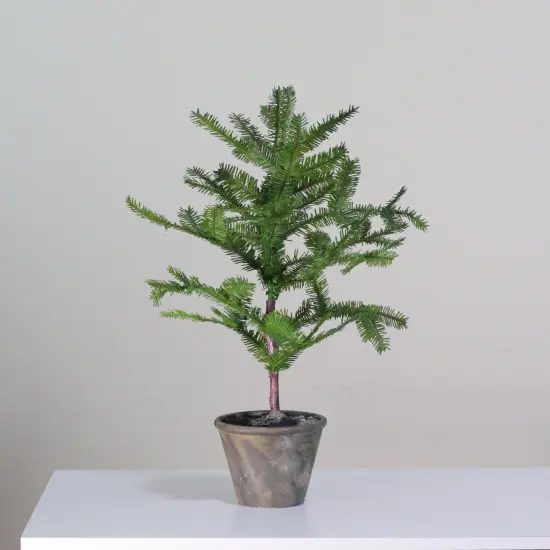 Allstate Artificial Mini Pine Tree in Paper Mache Pot - 22" - Green {3}