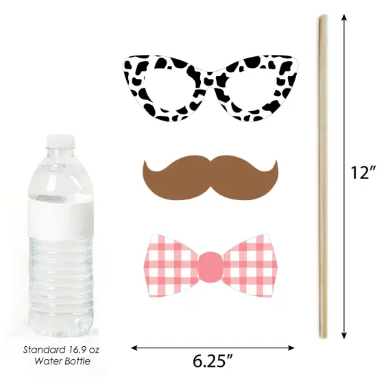 Big Dot of Happiness Girl Farm Animals - Pink Barnyard Baby Shower or Birthday Party Photo Booth Props Kit - 20 Count {6}