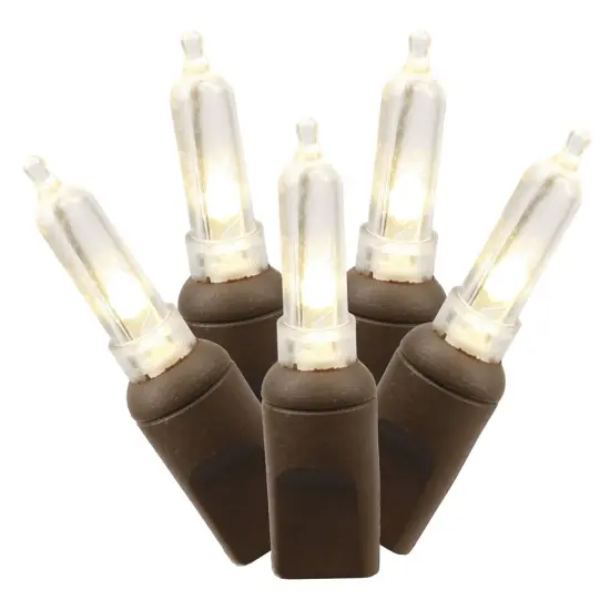 50Lt Warm White LED / Brown Wire Italian EC 25'L {1}