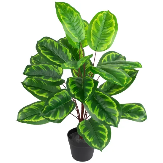 Northlight Two-Tone Calathea Artificial Potted Plant - 30" Green {4}