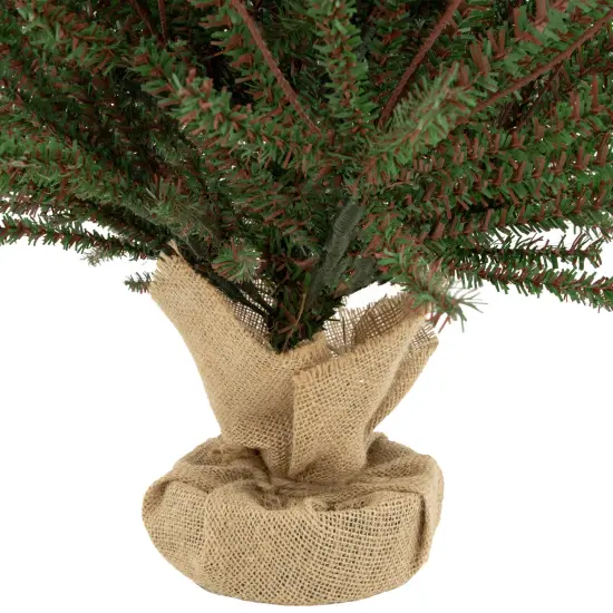 Northlight 3' Green and Brown Medium Warsaw Twig Artificial Christmas Tree - Unlit {6}
