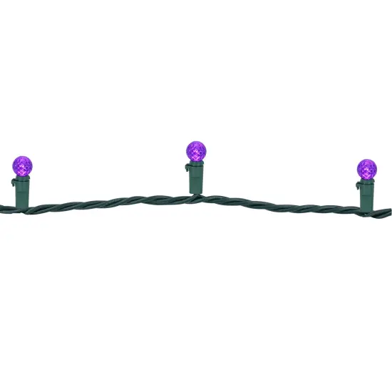 Northlight LED G12 Berry Christmas Lights - Purple - 16' Green Wire - 50 ct {6}