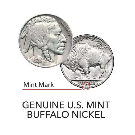Buffalo Nickel Coin Set {3}