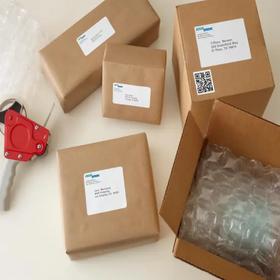 Avery Internet Shipping Labels, 5-1/2" x 8-1/2", (2 Pack of 18126) {4}