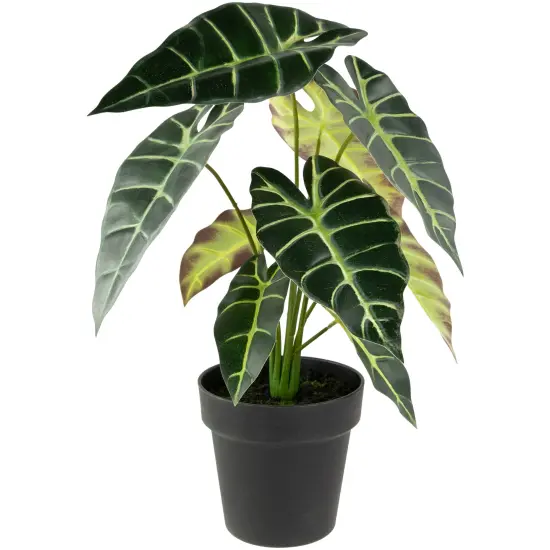Northlight Real Touch&trade; Artificial Taro Plant in Black Pot 18" Green {6}