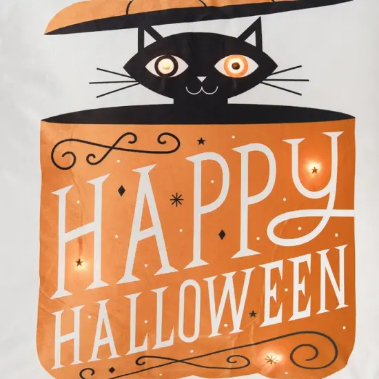 Black Cat in Pumpkin "Happy Halloween" LED Accent Throw Pillow 18" x 18" {4}