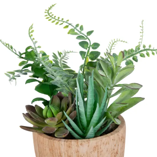 Northlight Potted Artificial Mixed Succulents and Fern Arrangement - 12" Brown {5}