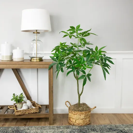 Northlight 4' Artificial Unbraided Potted Green Money Tree {3}