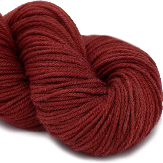 Living Dreams Purity: Organic Merino DK Yarn. Pacific Northwest Hand Dyed. Amber {2}