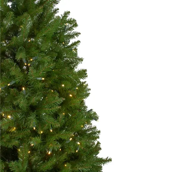 Northlight 6.5' Pre-Lit Full Northern Pine Artificial Christmas Tree - Warm Clear LED Lights Green {4}