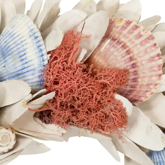 Northlight Artificial Seashells Wooden Wreath - 13" - White {5}