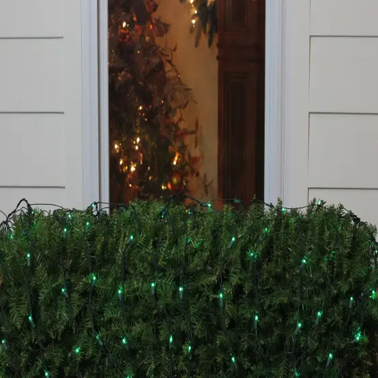 Northlight Net Style Incandescent Christmas Lights - 4' x 6' - Green - Green Wire {4}