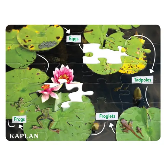 Kaplan Early Learning Company Frog Life Cycle Floor Puzzle from Egg to Frog - 24 Pieces {1}