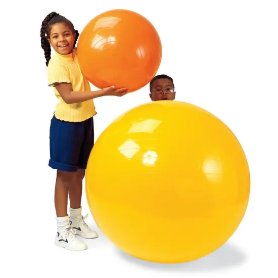 Exercise and Therapy Ball {6}