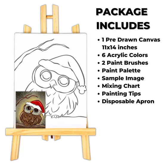 "Christmas Owl" DIY Canvas Art Kit, Adult Beginner, Acrylic Paint Size 11x14 inch {2}