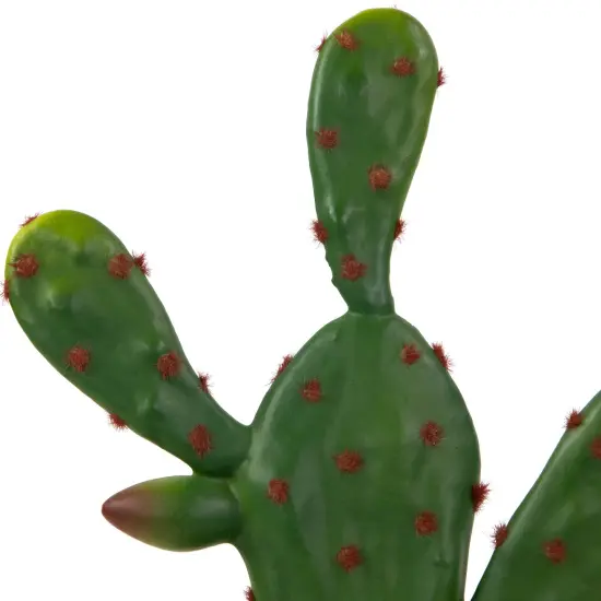 Northlight Real Touch&trade; Artificial Green and Red Potted Floral Cactus - 9.5" {7}