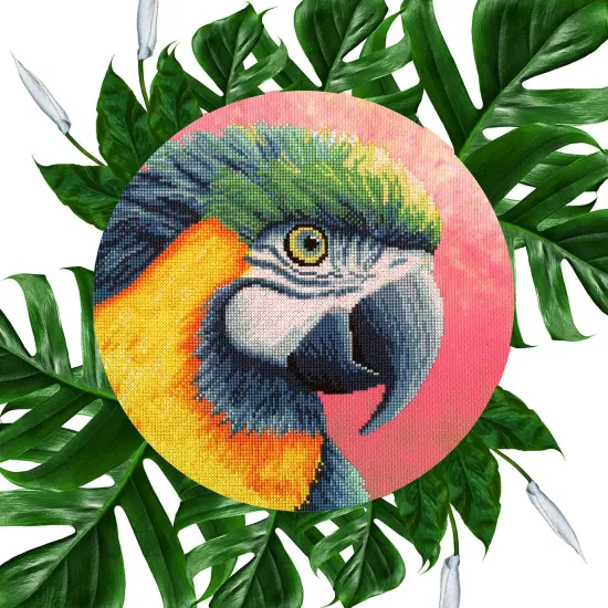 Paradise XRF1 Counted Cross Stitch Kit {2}