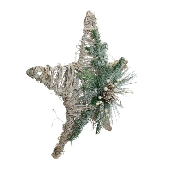 Northlight Frosted Mixed Pine Hanging Star Christmas Ornament - 24" - Green, Gray and Brown {3}