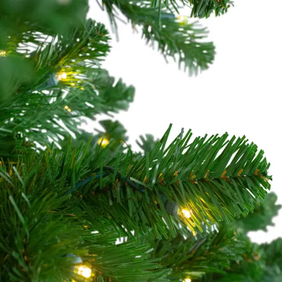 Northlight 7.5' Pre-Lit Slim Olympia Pine Artificial Christmas Tree - Warm White Lights Green {4}