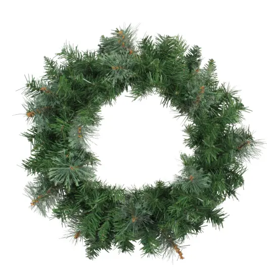Northlight Mixed Cashmere Pine Artificial Christmas Wreath - 24" - Unlit Green {1}