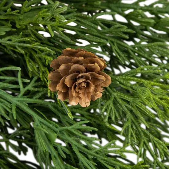 Northlight Real Touch&trade;️ Cedar Artificial Christmas Wreath with Pinecones - 24" - Unlit Green {6}