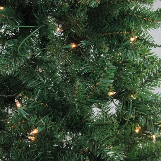 Northlight 6.5' Pre-Lit Slim Eastern Pine Artificial Christmas Tree - Clear Lights Green {3}