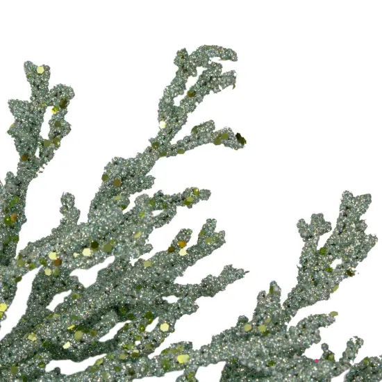 Northlight 20" Green Glittered Artificial Coral ChristmasWreath {4}