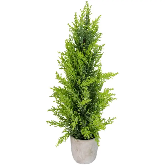 Northlight Upswept Frosted Cedar Artificial Potted Christmas Tree - 17" - Unlit Green {1}