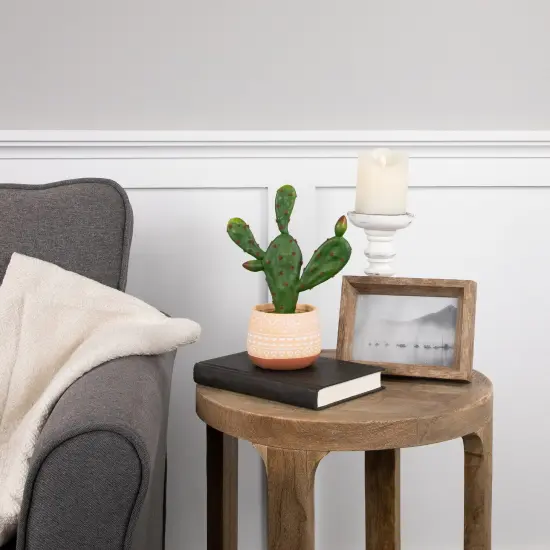 Northlight Real Touch&trade; Artificial Green and Red Potted Floral Cactus - 9.5" {3}