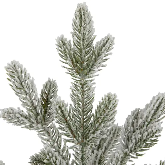 Northlight Mini Frosted Artificial Christmas Tree in Santa Pot - 14.75" - Unlit Green {6}