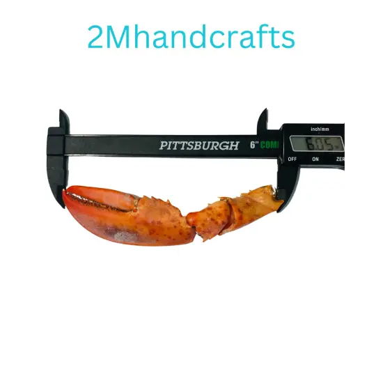 1pc Realistic Cooked Left Lobster Claw Silicone Mold| Food Shape Silicone Mold| Soap| Candle | Mold for Wax| Mold for Resin| Not Food Grade {3}