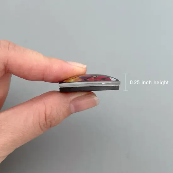 Wrapables Crystal Glass Magnets, Refrigerator Magnets for Office Whiteboards, Cabinets, Lockers (Set of 12) Flowers {10}