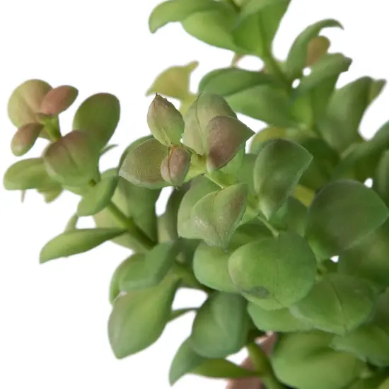 Northlight Real Touch&trade; Artificial Privet Plant in Vintage Milk Can Style Earthenware Pot - 14" Green {7}