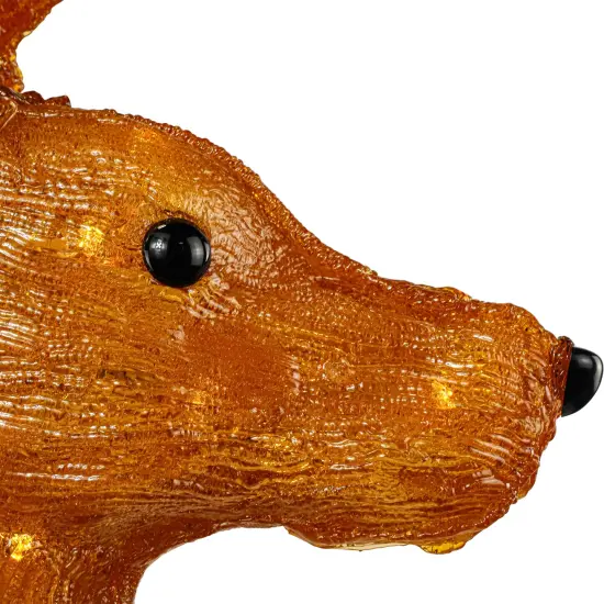 Northlight LED Lighted Commercial Grade Acrylic Reindeer Outdoor Christmas Decoration - 46" Brown {7}