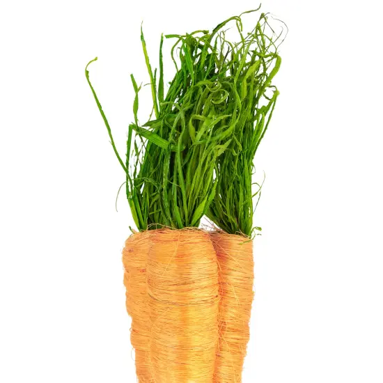 Northlight Straw Carrot Easter Decorations - 9"- Orange and Green - Set of 3 {6}