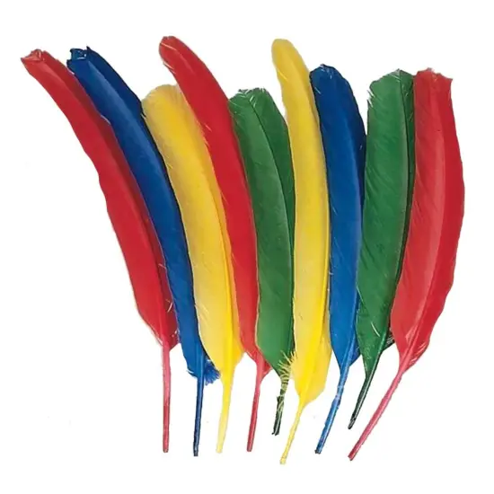 School Smart Long Craft Feather Quills, 10 to 12 Inches, Assorted Colors, Pack of 100 {1}