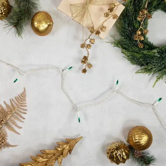 Northlight Mini Incandescent Christmas Lights - Teal Green - 35' White Wire - 100ct {1}