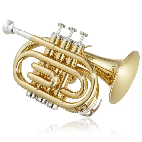 Ashthorpe Bb Brass Pocket Trumpet - Includes Case, Mouthpiece, Gloves, Cleaning Cloth, Valve Oil {2}